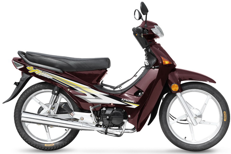 APSONIC 110-9 - View 2